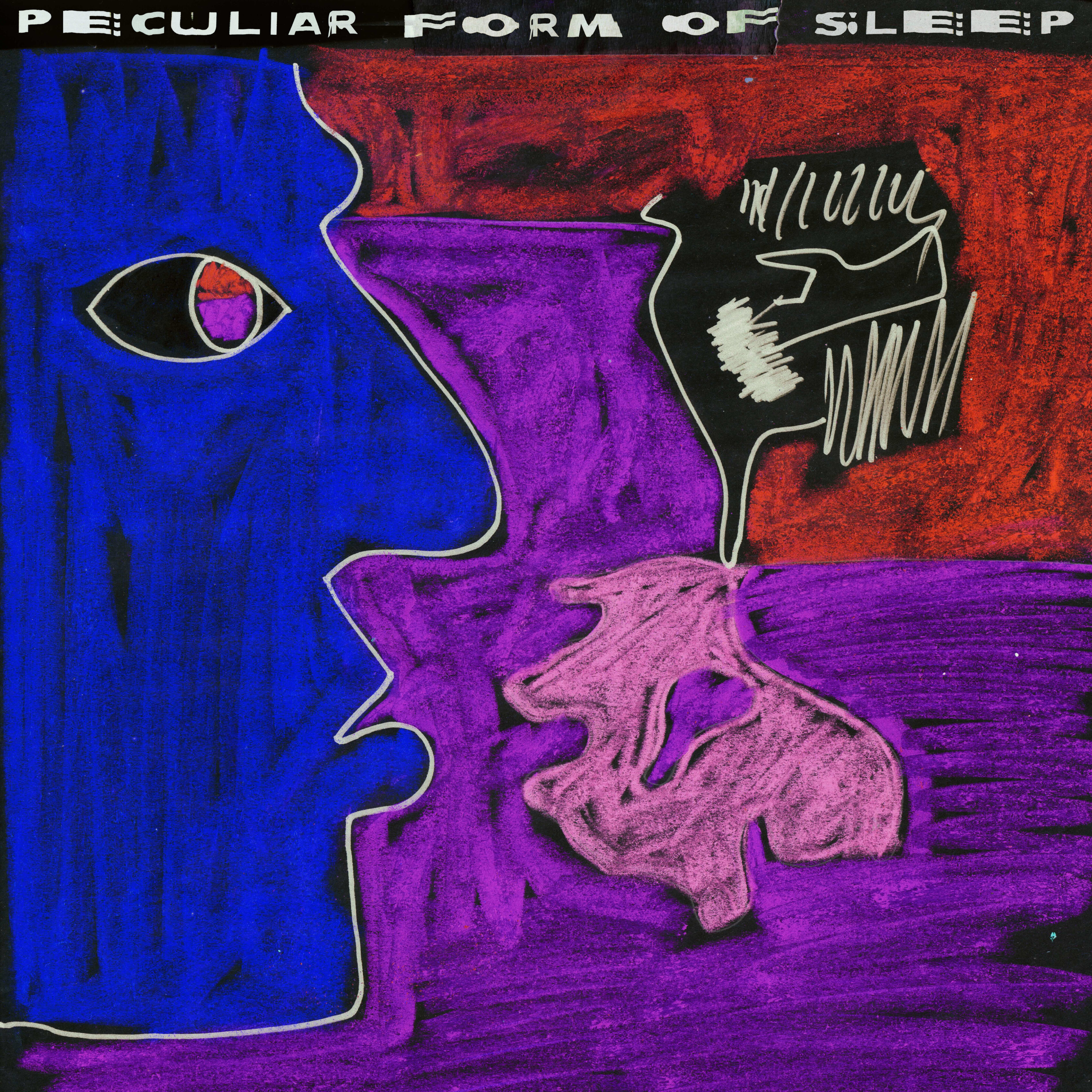 Wovoka Gentle  Peculiar Form Of Sleep